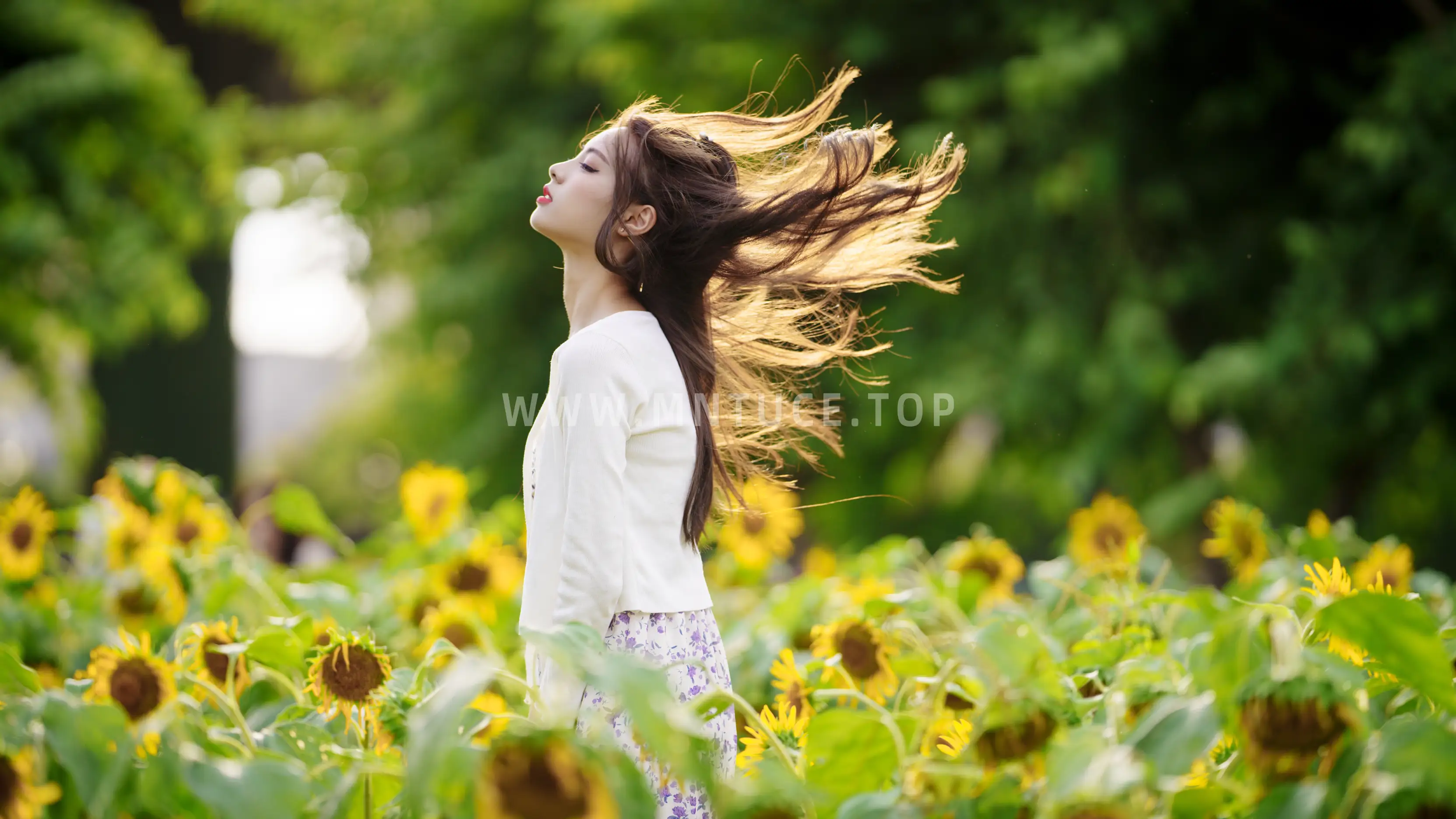 [YITUYU] 2021.12.30 Vol.554 – Sea of Sunflowers Teng Jing#[31P]-19